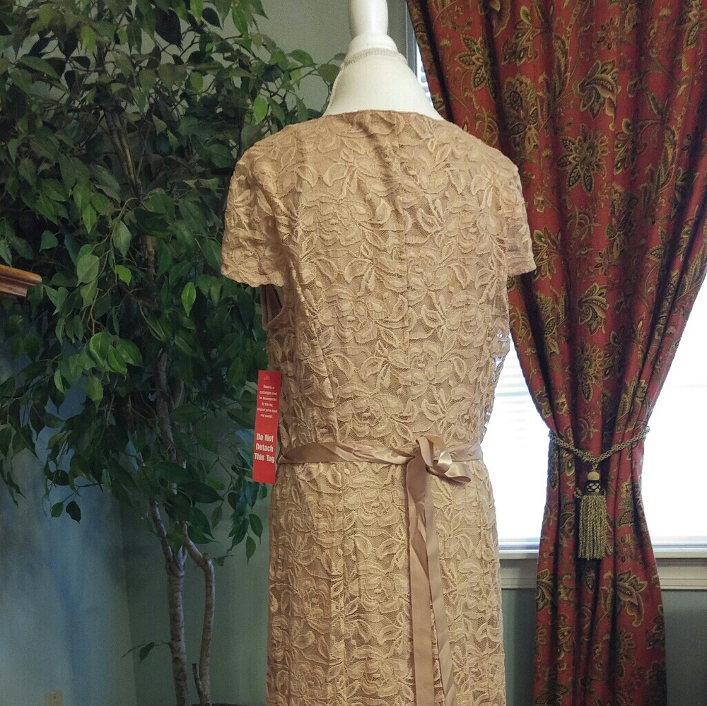 NWT Lace Dress